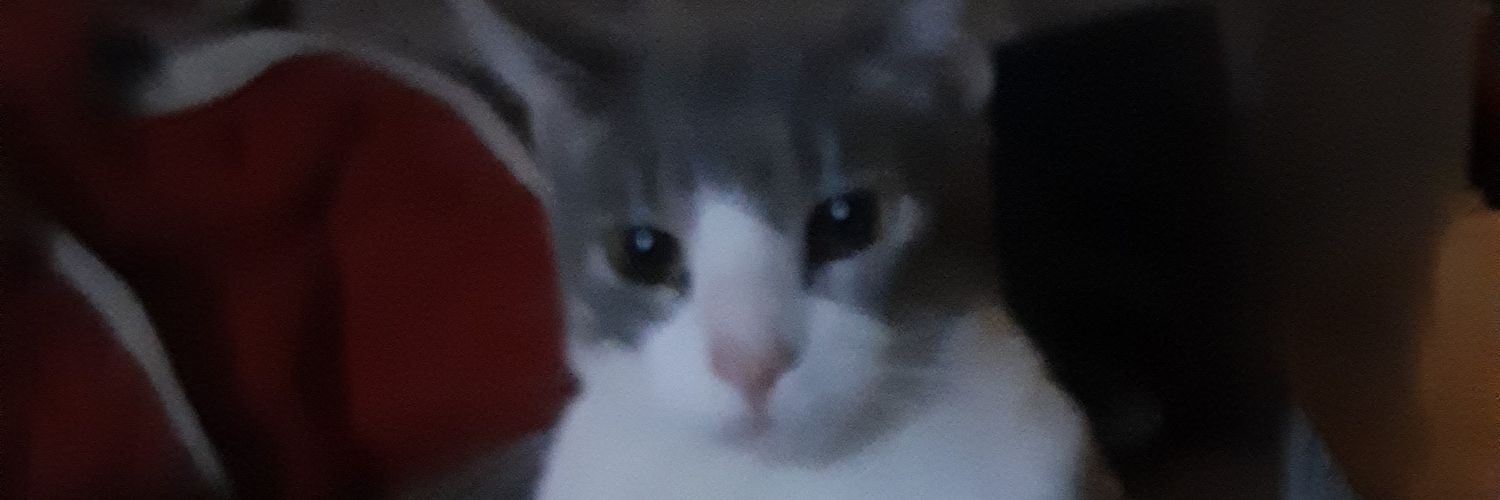 Hey It's Hollie!!! banner