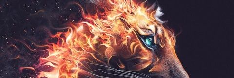 sharcou's profile banner image