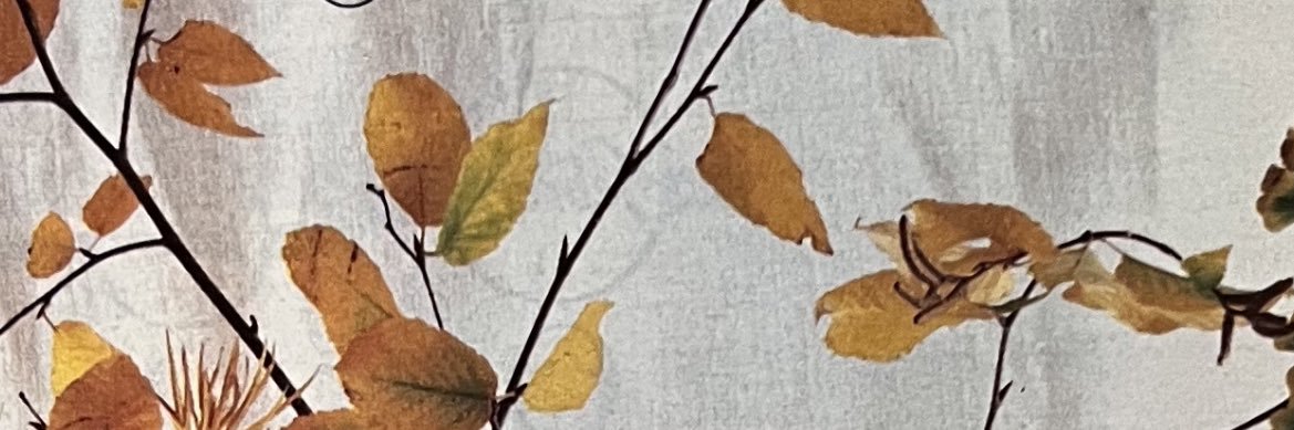 mooshypie 🌱🌏 banner