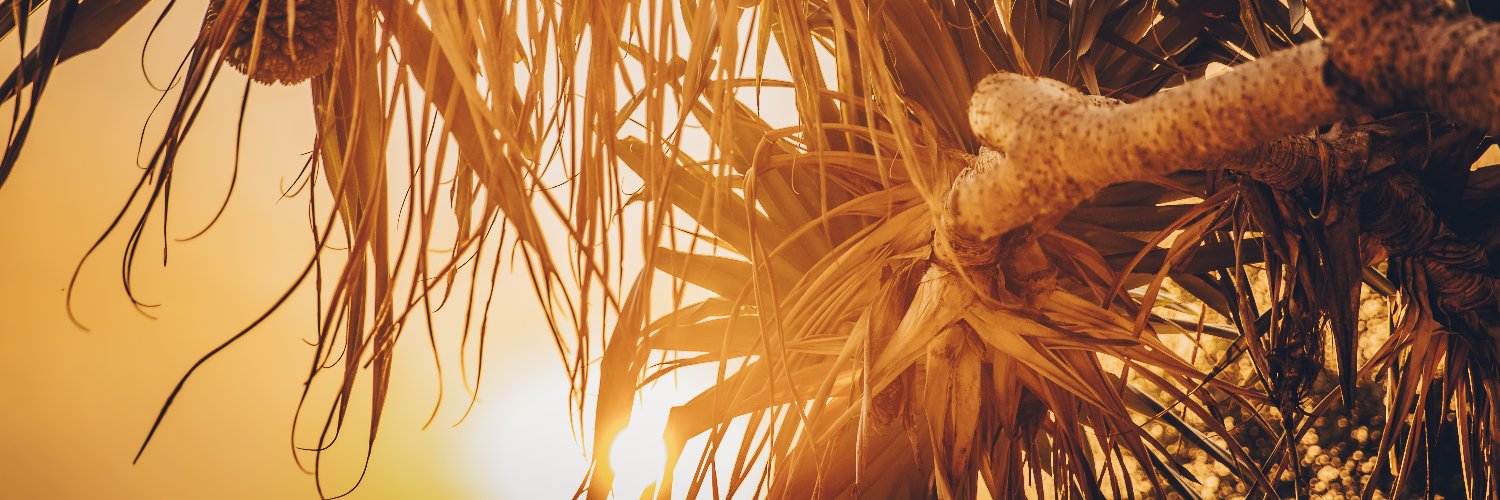 Queensland Government banner