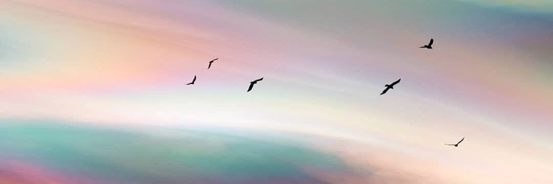 virtuallself's profile banner image