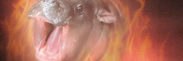 nega_n8 Profile Banner