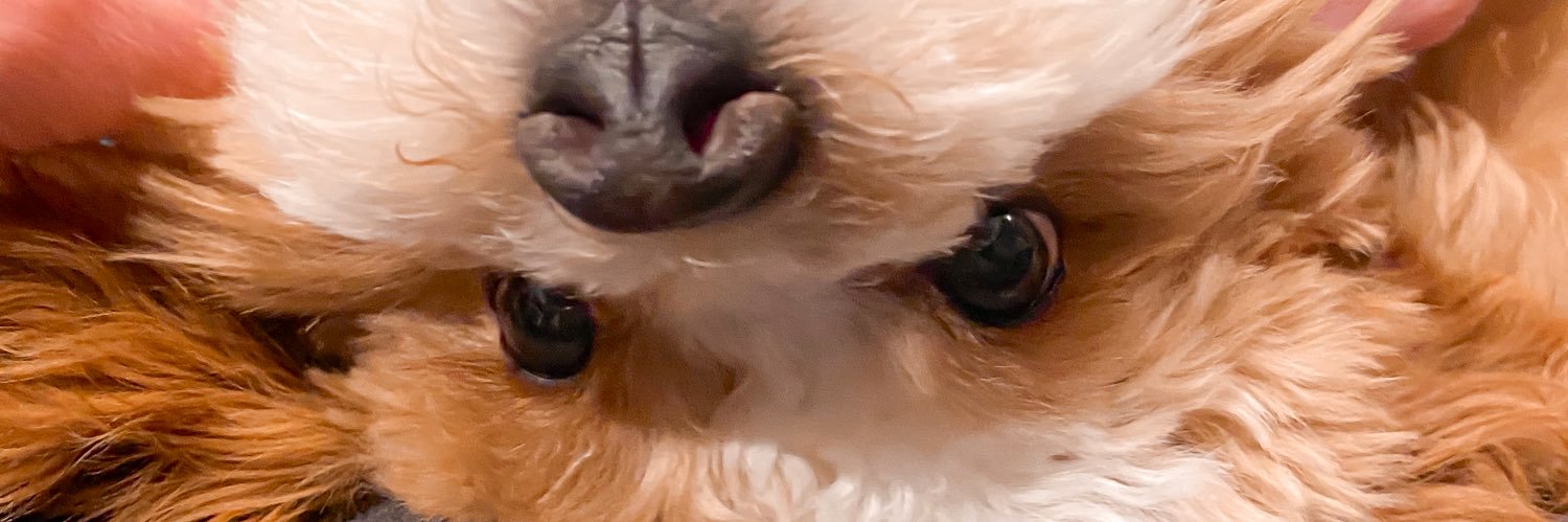 GennaBezold's profile banner image
