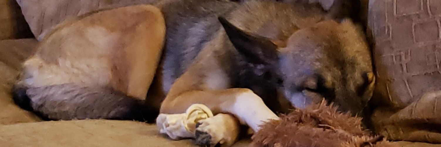 BretBrandt's profile banner image