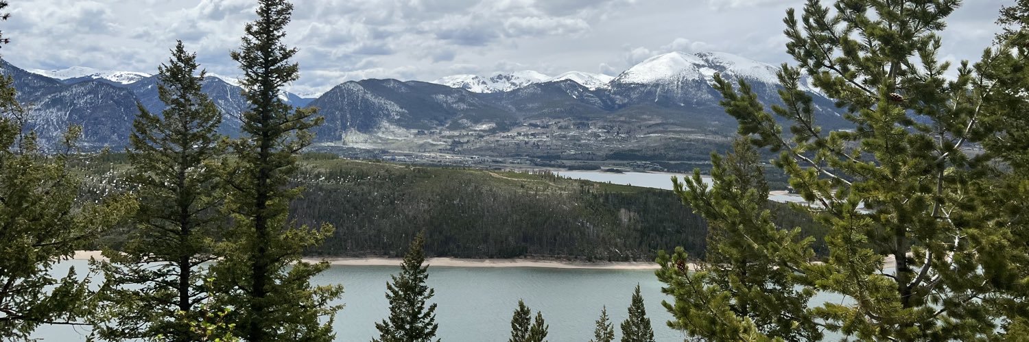 Brandon Johnson banner