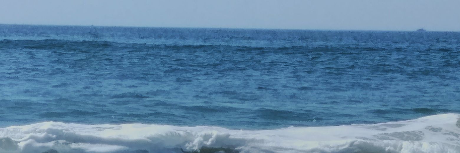 MsGeeCarvin's profile banner image