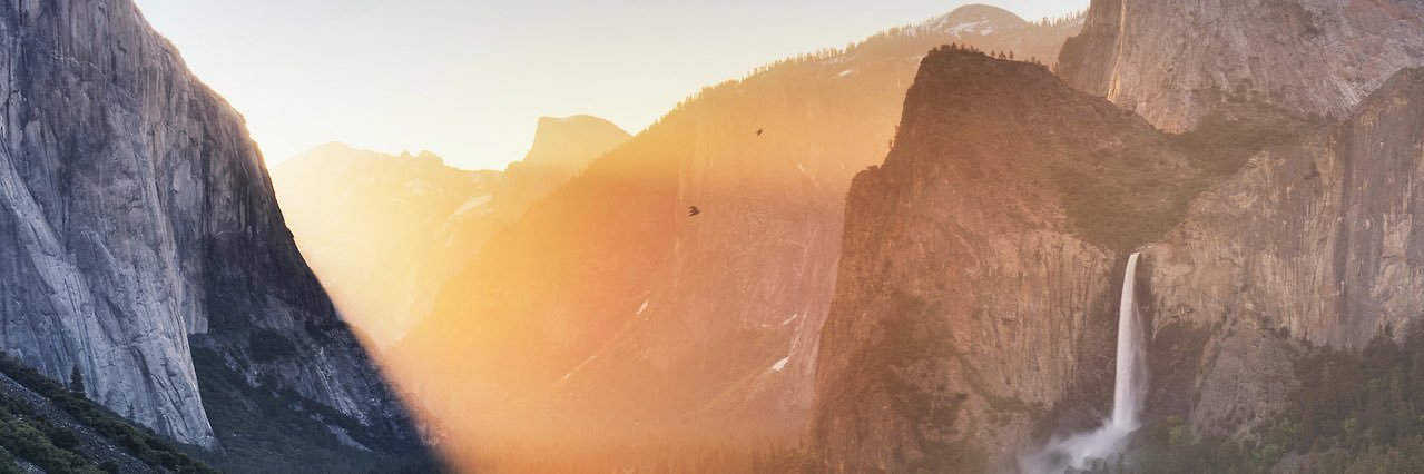 cory_dufresne's profile banner image