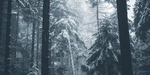 JessicaMedina__'s profile banner image