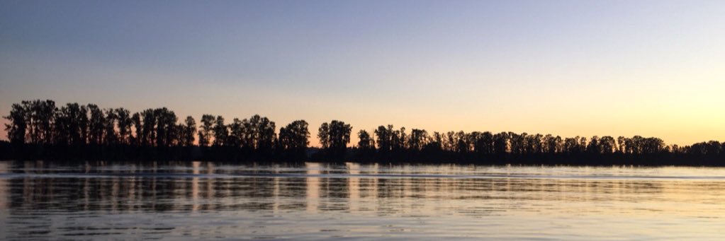 aniekacooper's profile banner image