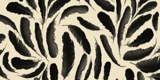 Female Things♔ banner
