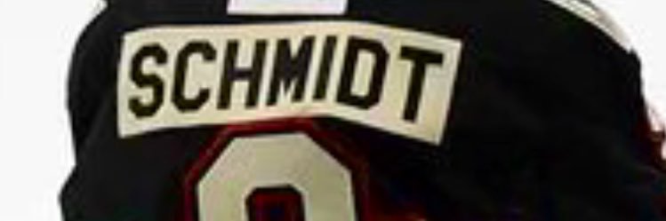 Neil Schmidt banner