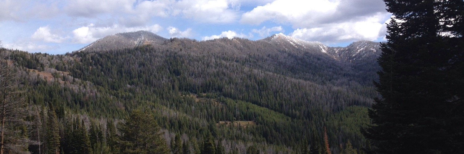 troutcreeker's profile banner image