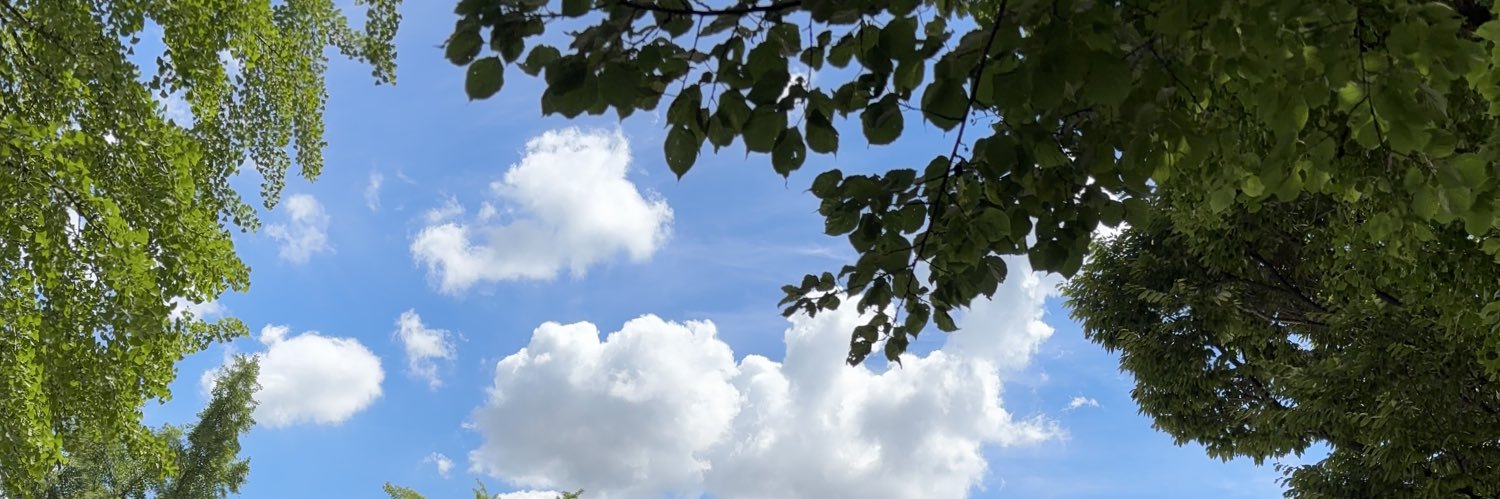 balgdum's profile banner image