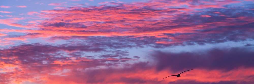 InspireMoments3's profile banner image