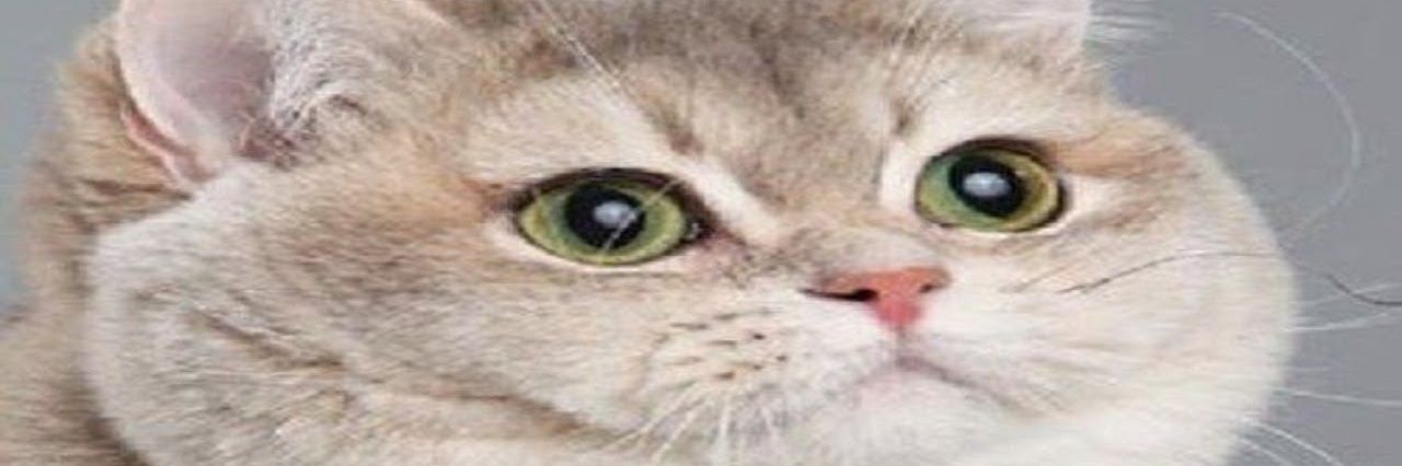 JTHEBIGP's profile banner image