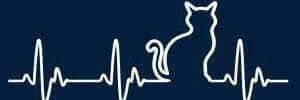 claudiajohm's profile banner image