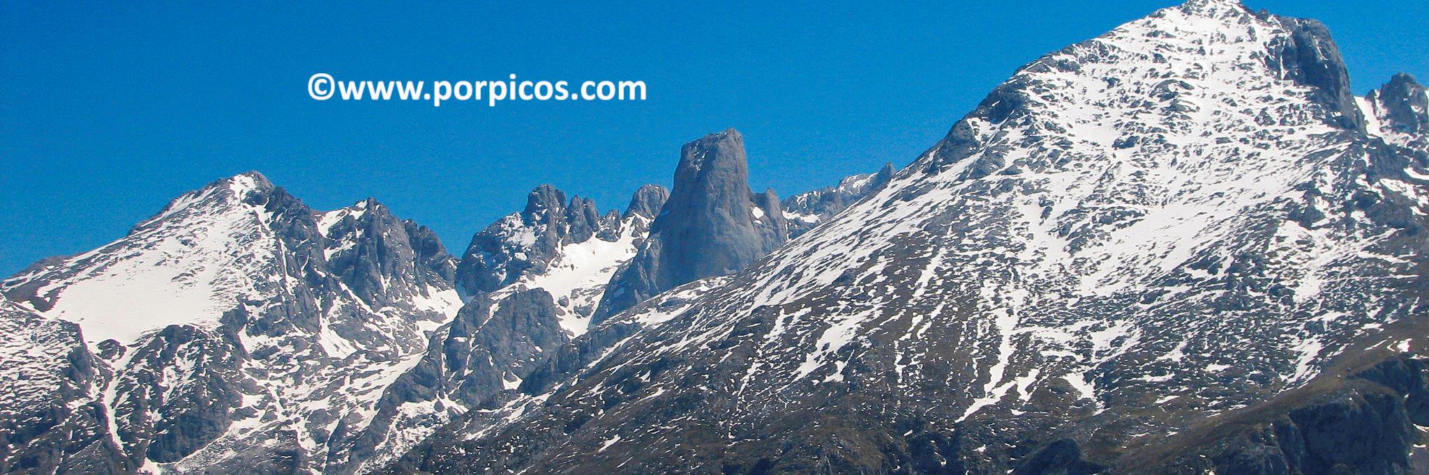 porpicos's profile banner image