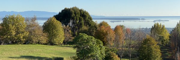 marksterms Profile Banner