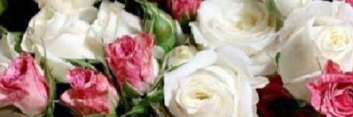 ndooy332's profile banner image