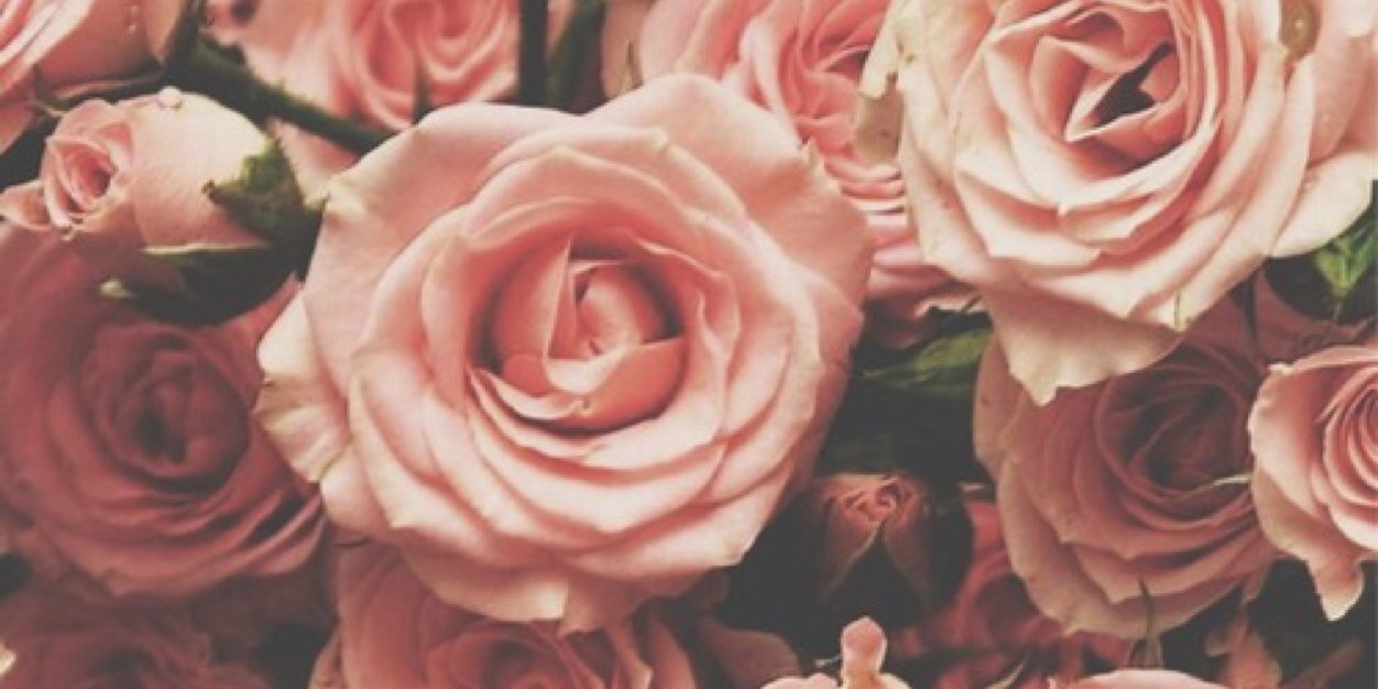 AurelliaFS's profile banner image