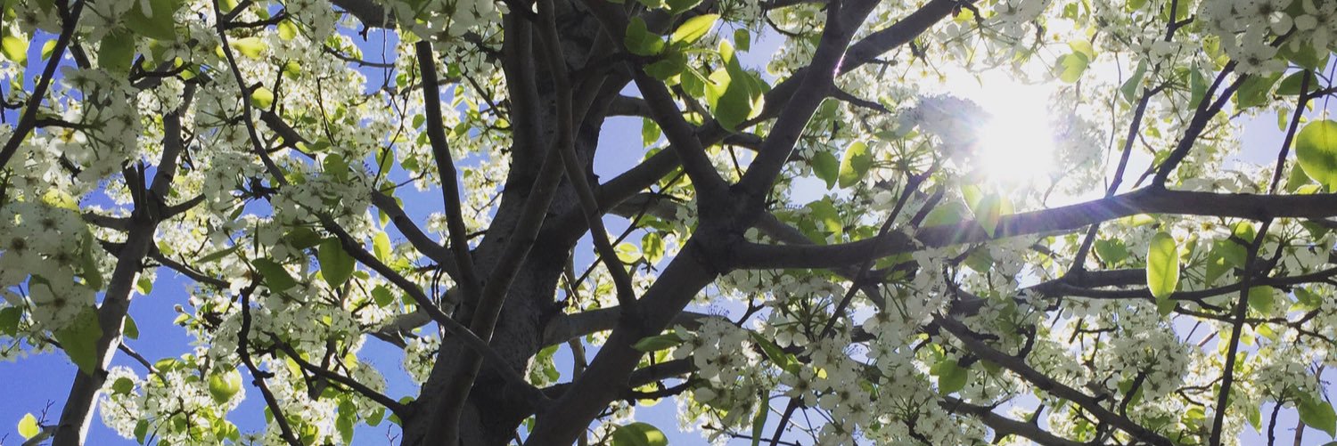 SamGabbay's profile banner image