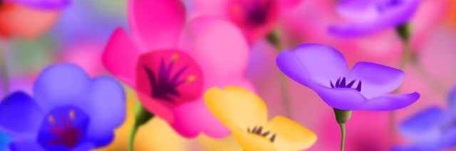 MeliDior's profile banner image