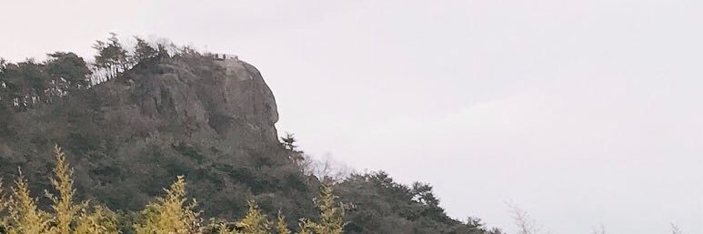 insigi's profile banner image