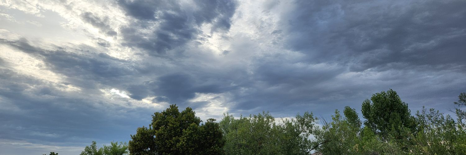 Christyn Mattingly banner