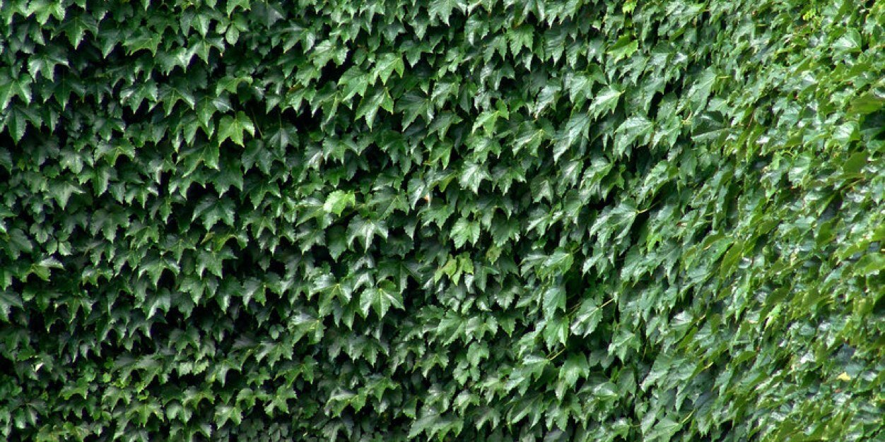 SaturatedMatty's profile banner image