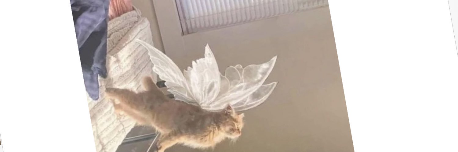 lucygooseyy's profile banner image