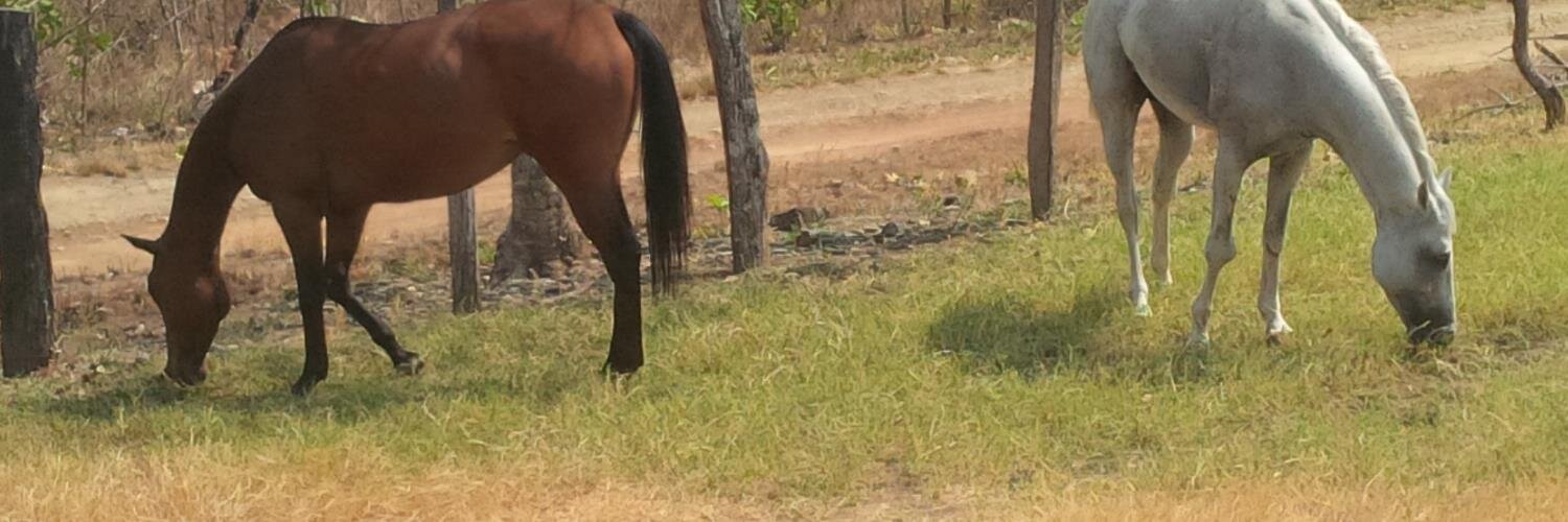 kamot's profile banner image