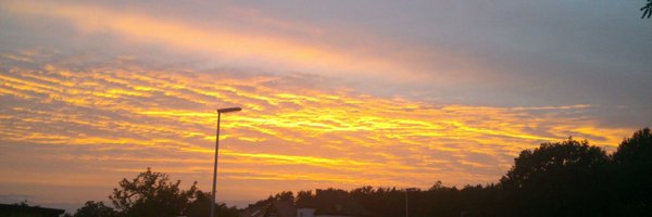 Kajalddtt Profile Banner