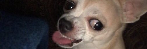 megmay69's profile banner image