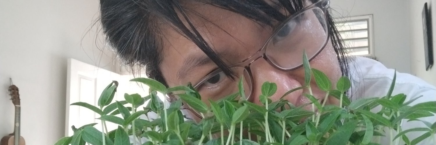 nataliaina's profile banner image