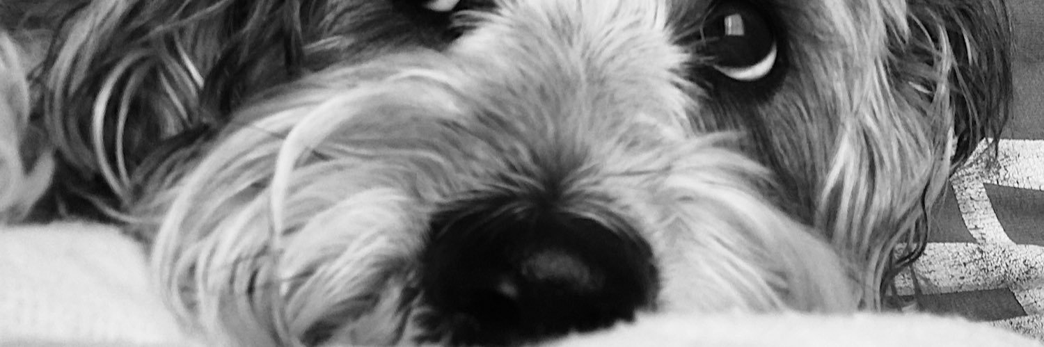 yhteeeb's profile banner image