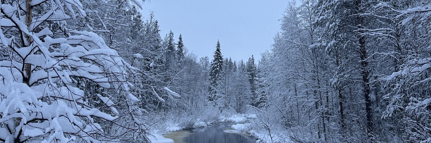 jytte 🥾🌍 banner