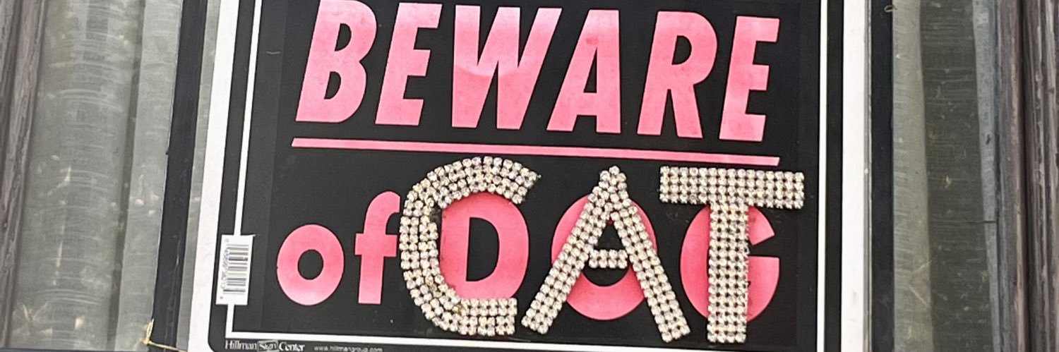 BrennaME's profile banner image