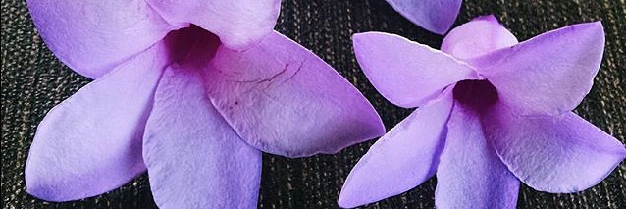 BarocioMichell's profile banner image