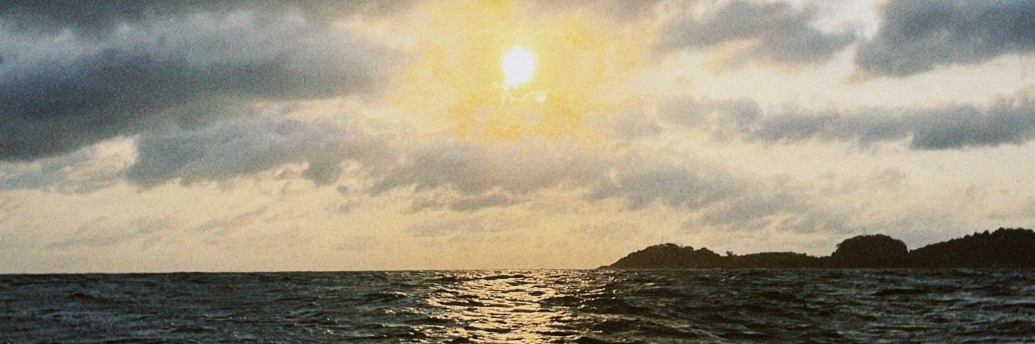 mrlna______'s profile banner image