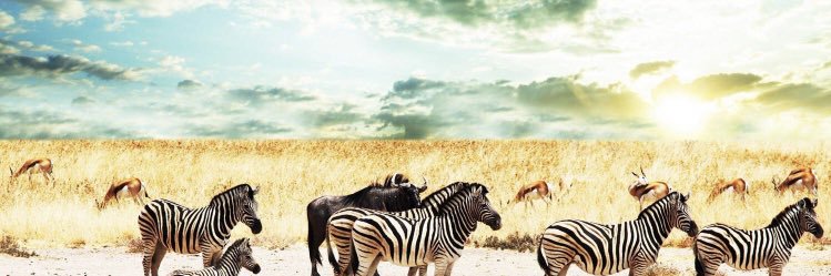 wamala_d's profile banner image