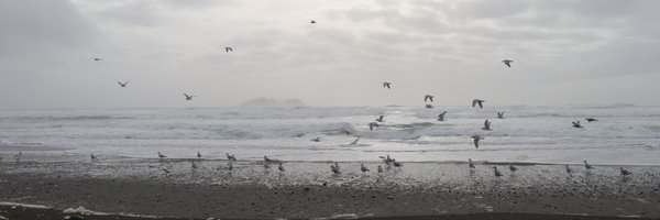 alia_d Profile Banner