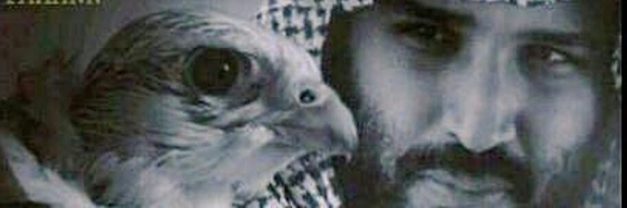 BhaaR199's profile banner image