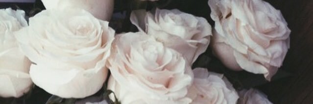 thagoddessxo's profile banner image