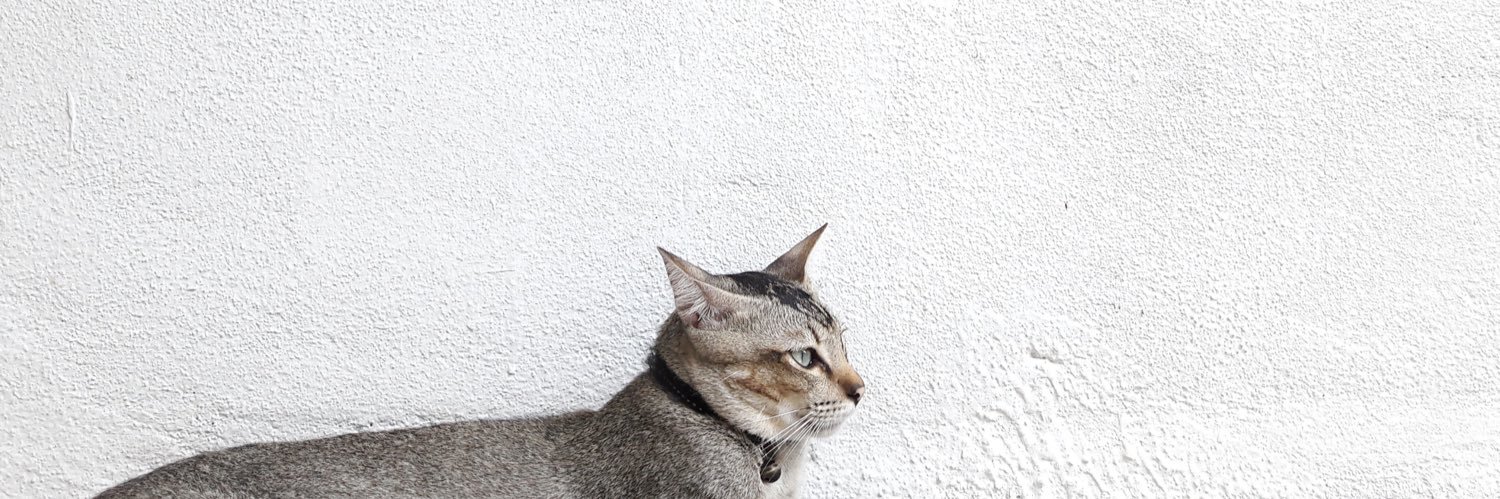 Picang Goyeng 🇵🇸 banner