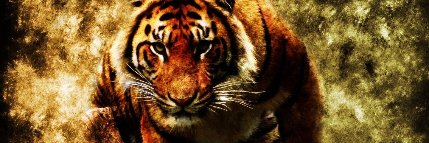 vegunwanth's profile banner image