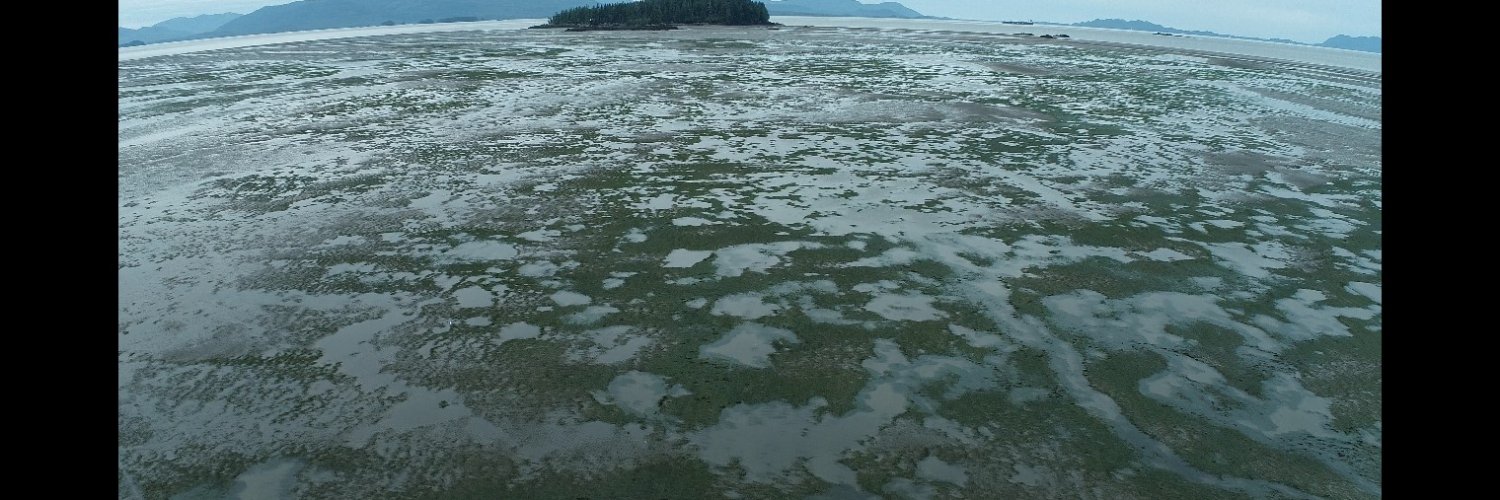Bob Milne - truly independent aquaculture advocate banner