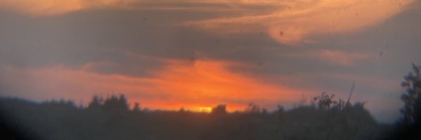 barrydemps Profile Banner