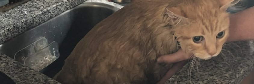 Khazicus's profile banner image