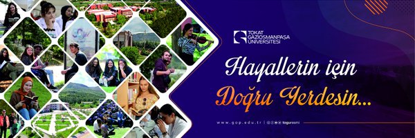 toguresmi Profile Banner
