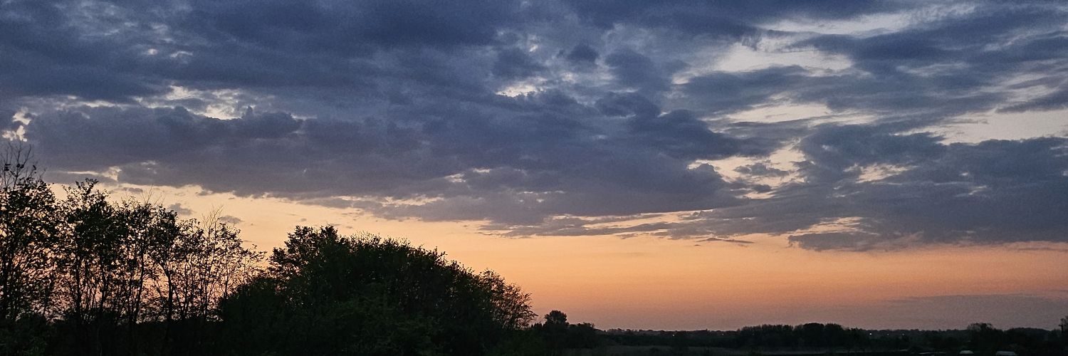 IIVIIAli's profile banner image